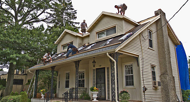 Roof Gutter Cleaning in Arbuckle, CA